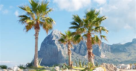 Hier finden sie tipps und erfahrungen zur anfahrt und zu sehenswürdigkeiten. Sizilien + San Vito Lo Capo: Strand und Land