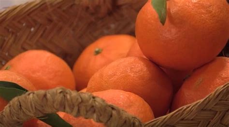 Wie viele Kalorien enthält eine Mandarina
