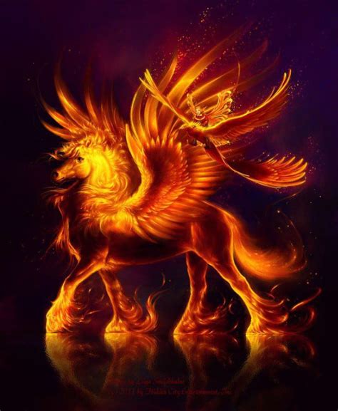 Fiery Pegasus Phoenix And Fairy Fantasy Unicornpegasus