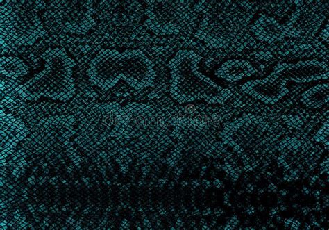Snake Leather Background Texture Stock Photo Image Of Flexibility