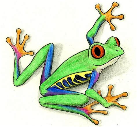 Tree Frog Cartoon Tree Frog Tattoos Frog Art Tree Frog Art