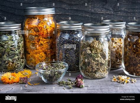 Various Dried Medicinal Herbs And Herbal Teas In Several Glass Jars