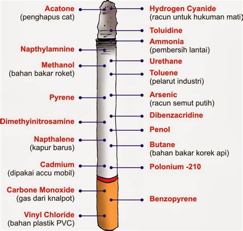 We did not find results for: 3D health beauty supplement: BAHAYA ASAP DAN ROKOK SERTA ...