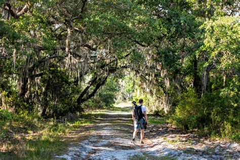 Best Hiking Trails In Central Florida Florida Splendors