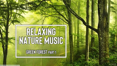 Nature Sounds Relaxing Music 1 Hour Meditation Stress Relief Youtube