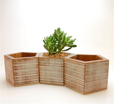 Adorable Pentagon Planter Pot Made Of Reclaimed Bamboo With A Matte