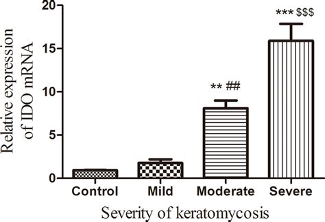 Expression Of Ido Mrna In Human Corneal Epithelium With Fungal