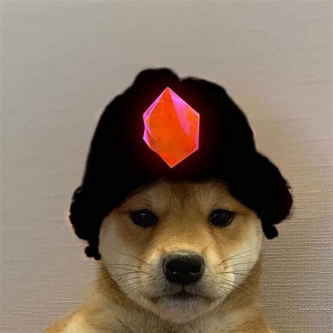 Epic games, makers of fortnite game, are now facing claims the company manipulates children by dangling upgrades in misleading ways. Dog wif hat | Dog icon, Dog memes, Dog hat