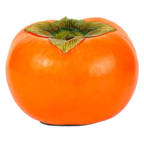 Single Persimmon Png Png Play