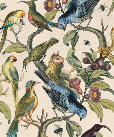 Ornithology Wallpaper Bird Wallpaper Bathroom Wallpaper