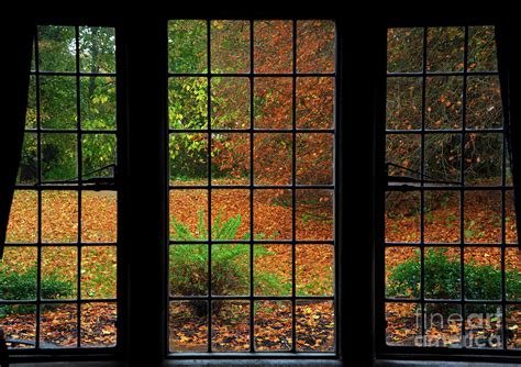 Autumn Through The Window Photograph By Martyn Arnold Pixels