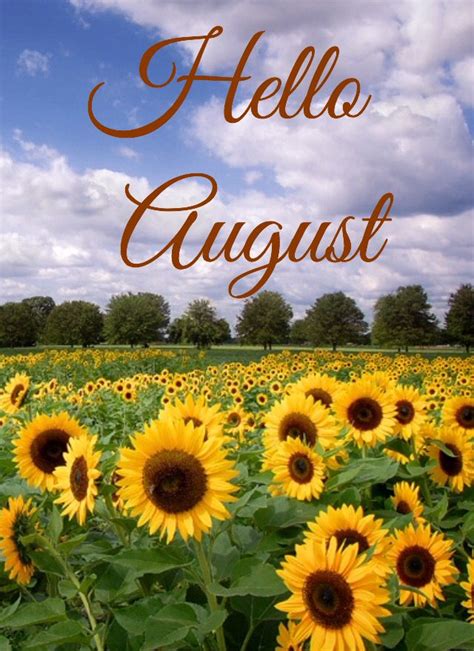 Hello August Hello August August Wallpaper Happy New Month Quotes