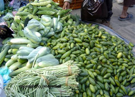 Whiteflies have attacked my sponge gourd and also a virus has infected them. Taste of Nepal: Parvar - परवर - (Pointed Gourd)