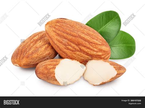 Almonds Nuts Leaves Image And Photo Free Trial Bigstock