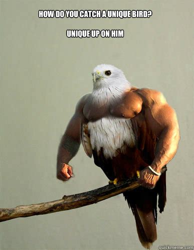 Birds With Arms Memes Quickmeme