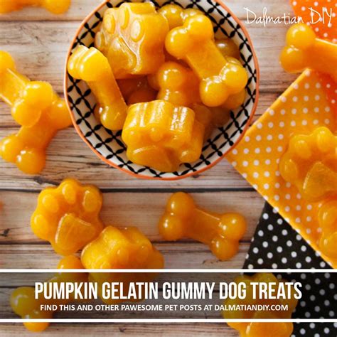 Simple Healthy Pumpkin Gelatin Gummy Dog Treats Dalmatian Diy