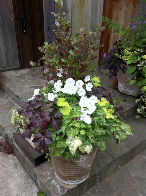 Containers Flower Containers Container Gardening Plants Gardens