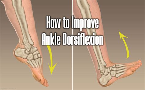 How To Improve Ankle Dorsiflexion Your Body Posture