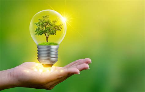 Environmental Impact Assessment (EIA) – What and Why - Iceni Projects