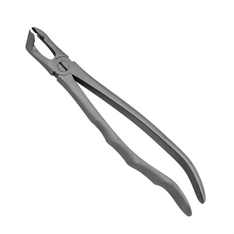 Lower Universal Extraction Forceps Prodentusa