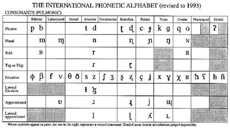 Pulmonic Consonants From The International Phonetic Alphabet Download Scientific Diagram