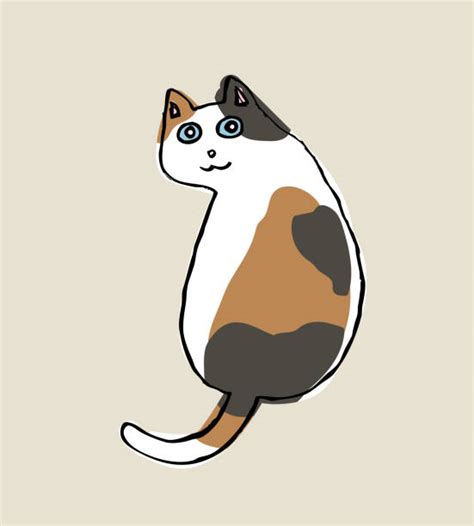 Calico Cat Portrait Illustrations Royalty Free Vector Graphics And Clip