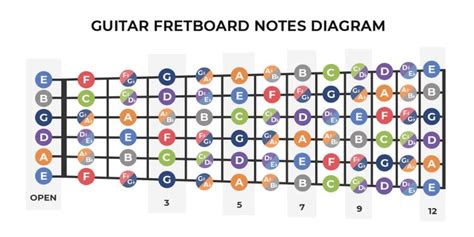 How To Learn The Fretboard Guitar Fretboard Diagram Yousician