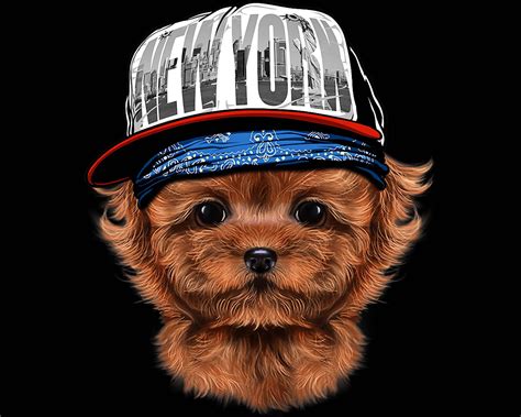 Poodle Puppy Hip Hop Dog Design Dog Lover Png New Puppy Etsy