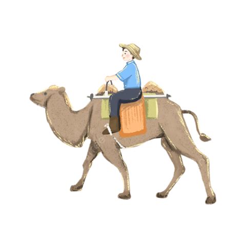 Riding A Camel White Transparent Boy Riding A Camel Boy Boys Camel