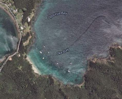 Top mash presents the 5 most mysterious creatures caught on google maps. New Zealand's Sea Monster Spotted on Google Earth ...