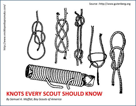 Knots Every Scout Should Know