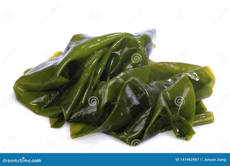 Kombu Kelp Is A Large Brown Algae Seaweed Binomial Name Laminaria