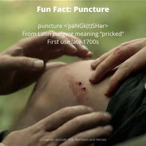 Fun Fact Puncture Wound Laptrinhx News