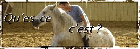 L Thologie Magazine Cheval Monchval Mag Bien Plus Qu Un Magazine Sur Le Cheval Et L