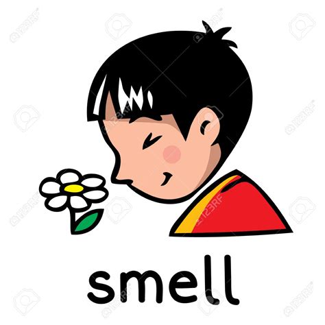 Sense Of Smell Activity Science Quizizz