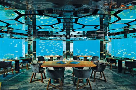 6 Underwater Restaurants You Have To Visit Hashtag Legend