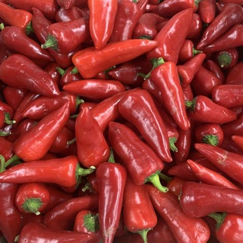 Red Fresno Chile Peppers Information Recipes And Facts