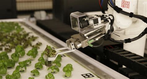 Angus El Robot Que Va A Revolucionar La Agricultura Fotos