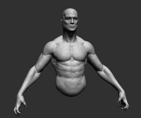 3d Male Reference Ztl