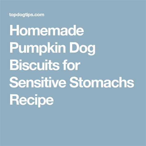 Treatment for liver disease, for example, is very different from treatment for ibd, which is very different from. Homemade Pumpkin Dog Biscuits for Sensitive Stomachs ...
