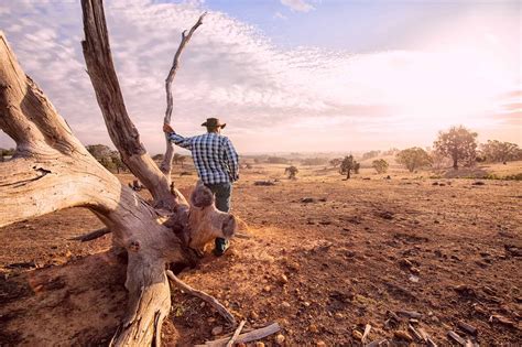 Major Droughts Droughts In Australia Gambaran