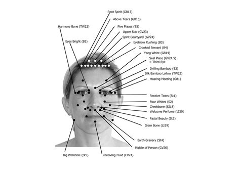 head reflexology pressure points chart my xxx hot girl