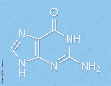 Guanine G Purine Nucleobase Molecule Base Present In Dna And Rna Skeletal Formula Stock