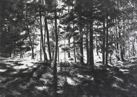 Charcoal Radiance In April Gorniks Landscape Drawings Artists Network