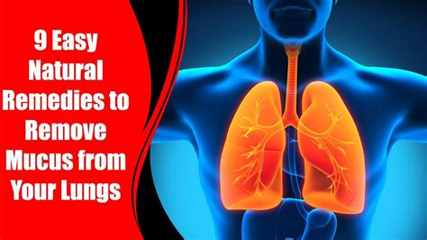 How Does Mucus Get In Lungs See 8 Different Causes And How To Remedy