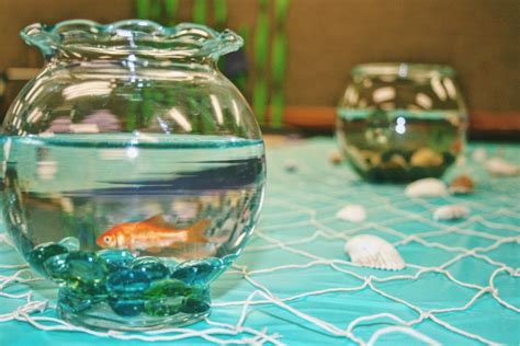 A spectacular party table always begins with the backdrop, and this one certainly is spectacular. Under the Sea Baby Shower DIY Guide and Ideas - Parties by ...
