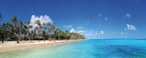 As you moved through the interview process, at some point (generally after an offer) you were provided with a disclosure that a background check is. Beach Screen Backgrounds - Wallpaper Cave