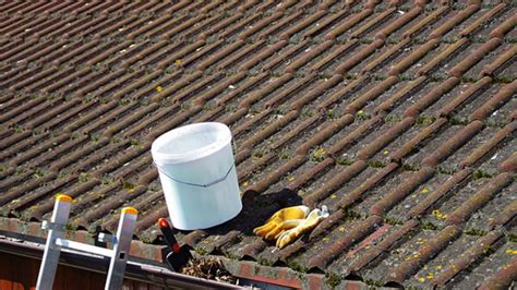 Check spelling or type a new query. Guide for Algae, Moss & Mold Removal on Your Roof ...