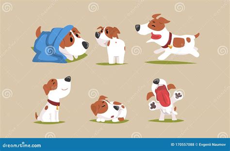 Cute Beagle Dog In Various Poses Collection Funny Purebred Pet Animal