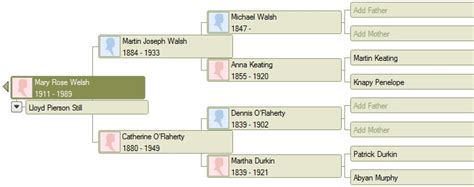 Genealogical Gems Irish Surnames Picking Out A Tartan